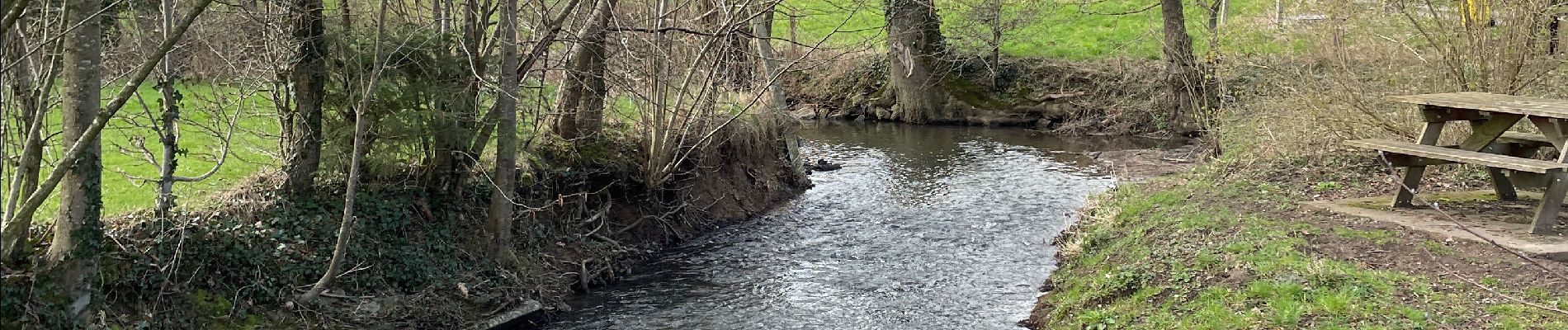 Tocht Stappen Raeren - Hauset - Photo