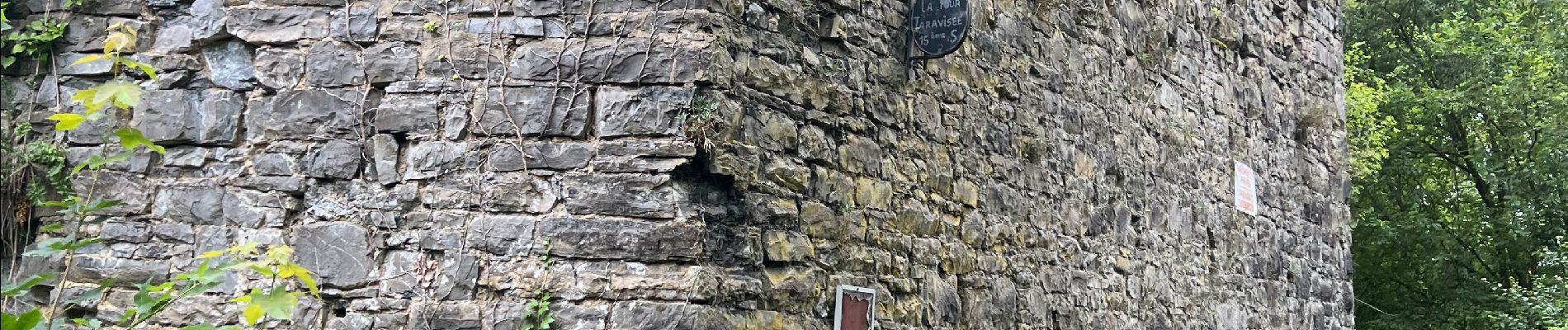 Randonnée Marche Dinant - Pégase de Dinant à Godinne - Photo