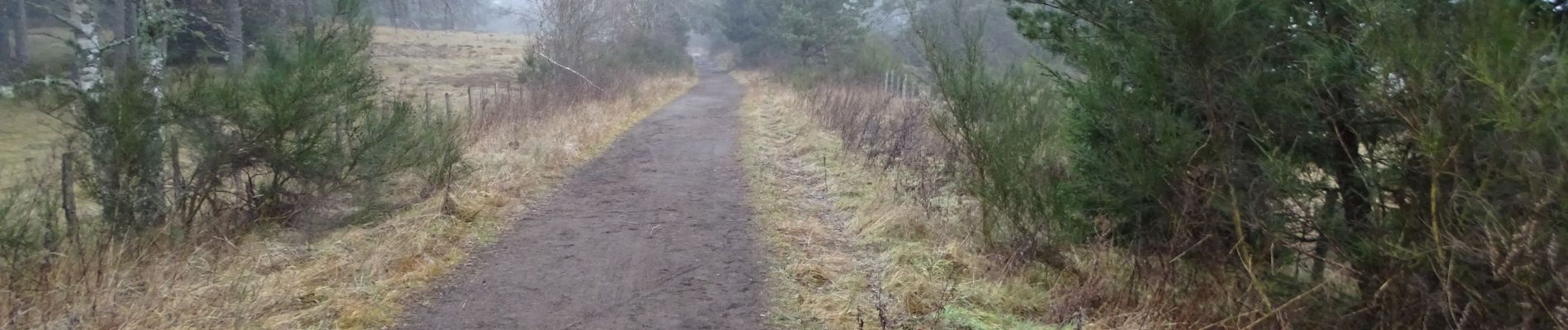 Trail Walking Saint-Ours - Puy de Lemptégy - Photo