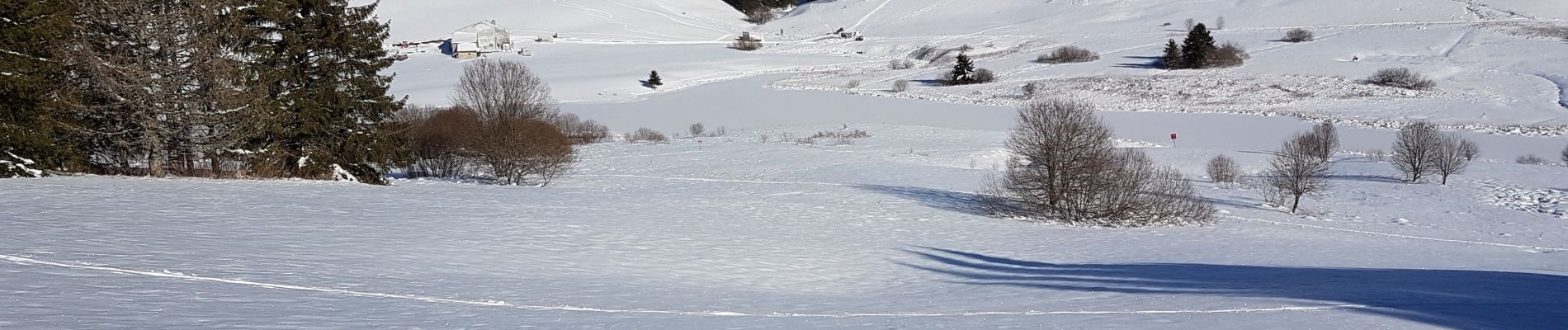 Randonnée Raquettes à neige La Pesse - L'embossieux-la Pourvoirie - Photo