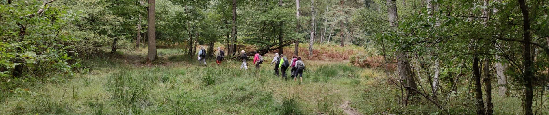 Tour Wandern Saint-Mard - rando autour de Dammartin Juilly  - Photo