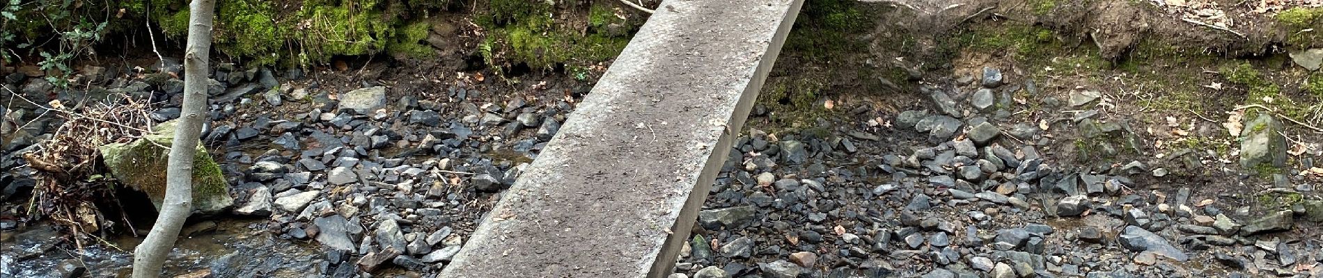 Tocht Stappen Ohey - Familiewandeling bos van Ohey - Photo