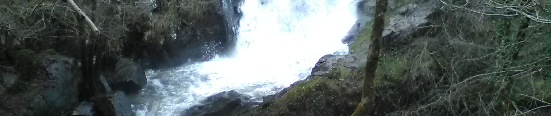 Percorso A piedi Forgès - La cascade de Murel - Photo