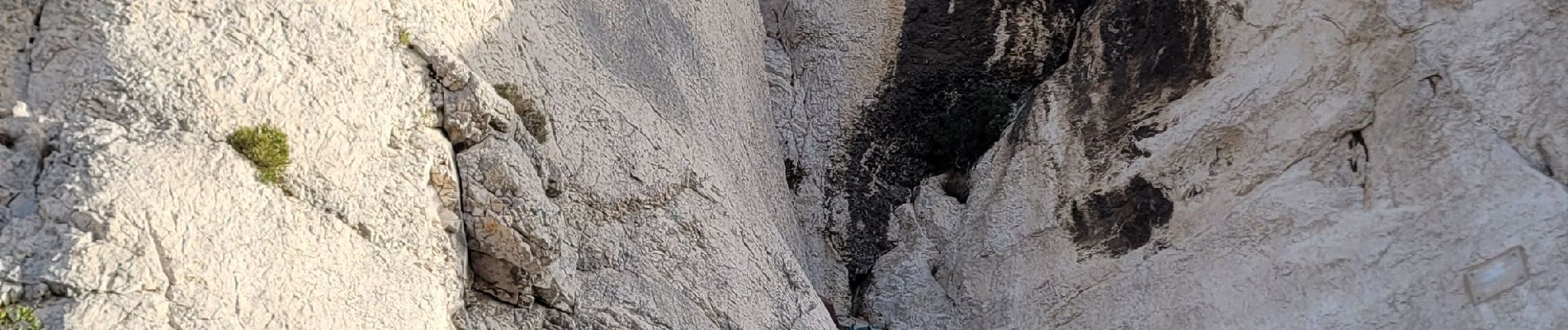 Tocht Stappen Marseille - Candelle Accès par le haut  - Photo