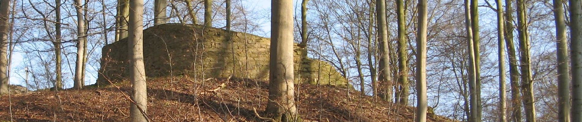 Tocht Te voet Rotenburg an der Fulda - Heienbach-Tour - Photo