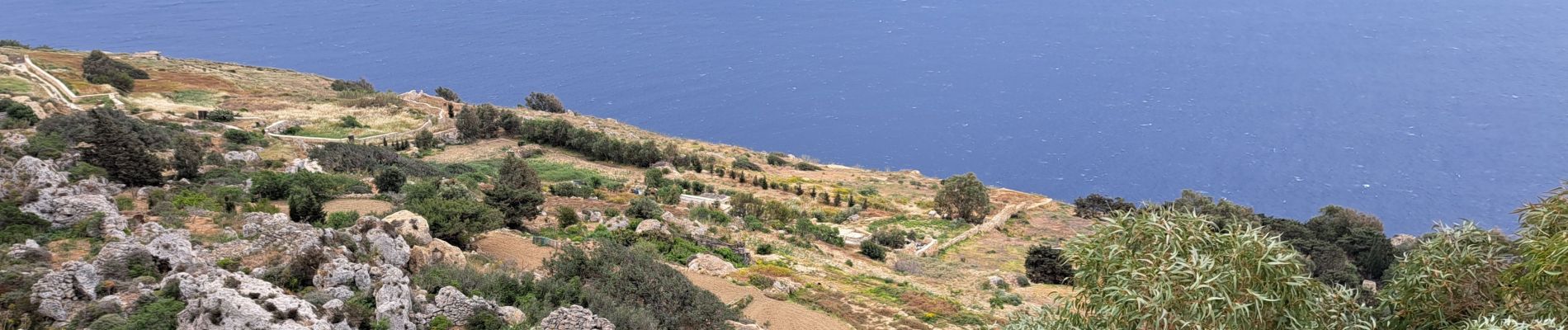 Tour Wandern Ħad-Dingli - MALTE 2024 / 01 Dingly's Cliffs - Photo