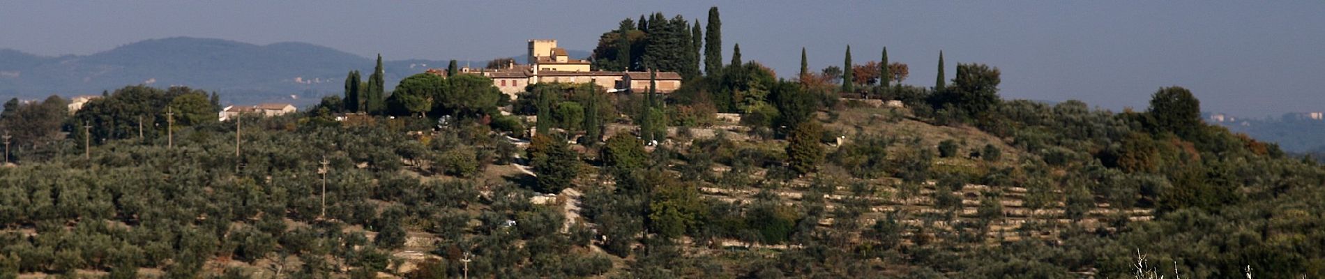 Tour Zu Fuß San Casciano in Val di Pesa - IT-SC6 - Photo