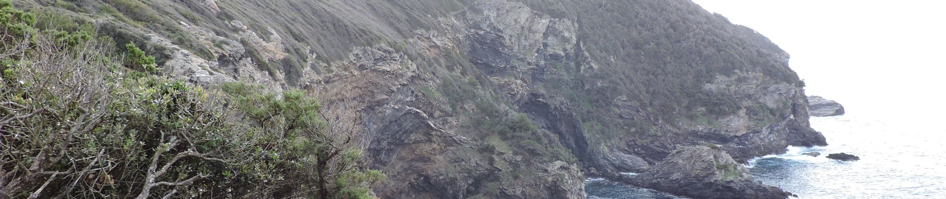 Trail Walking Hyères - presqu'île de giens - Photo