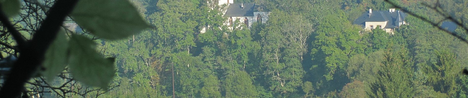 Randonnée A pied Adenau - Auf den Spuren der Ordensritter - Photo