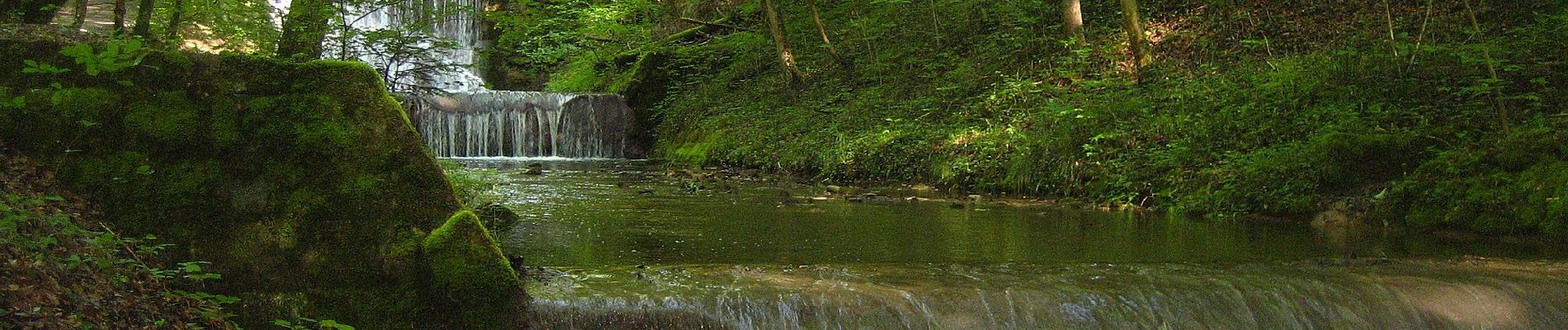 Tocht Te voet Küsnacht (ZH) - Küsnachter Tobel - Blüemlisalp - Photo