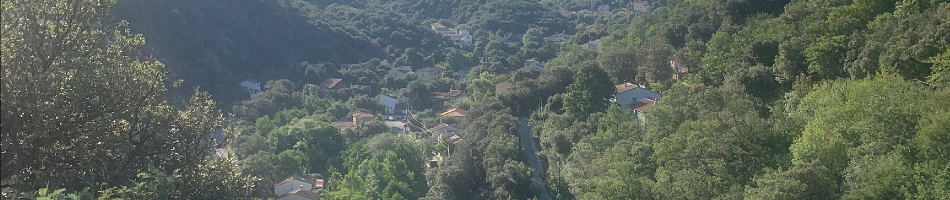 Randonnée Marche Laroque-des-Albères - RP66 LAROQUE VALLÉE HEUREUSE SOREDE.  - Photo