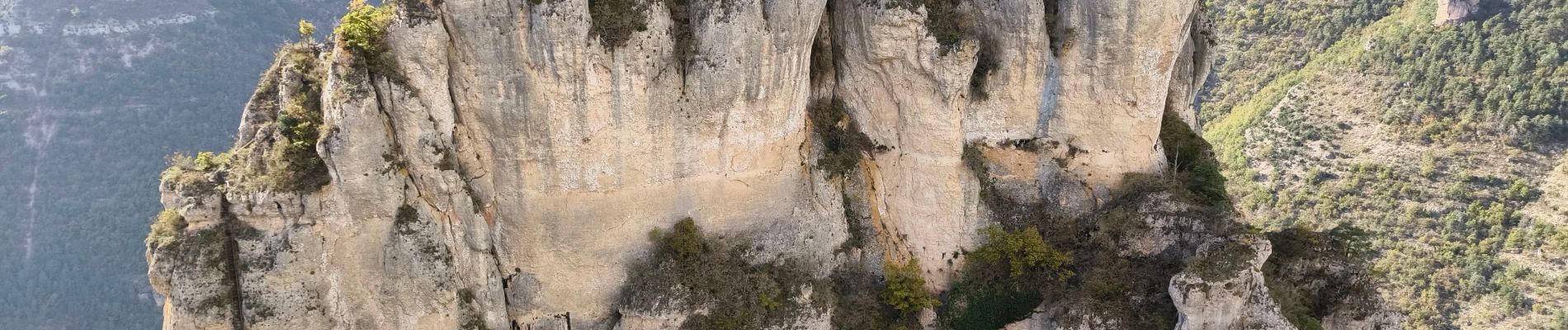 Randonnée Marche Massegros Causses Gorges - La Bourgarie  - Photo