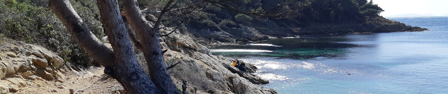 Tour Wandern La Croix-Valmer - Cap Lardier et Cap Taillat -  Boucle - Photo