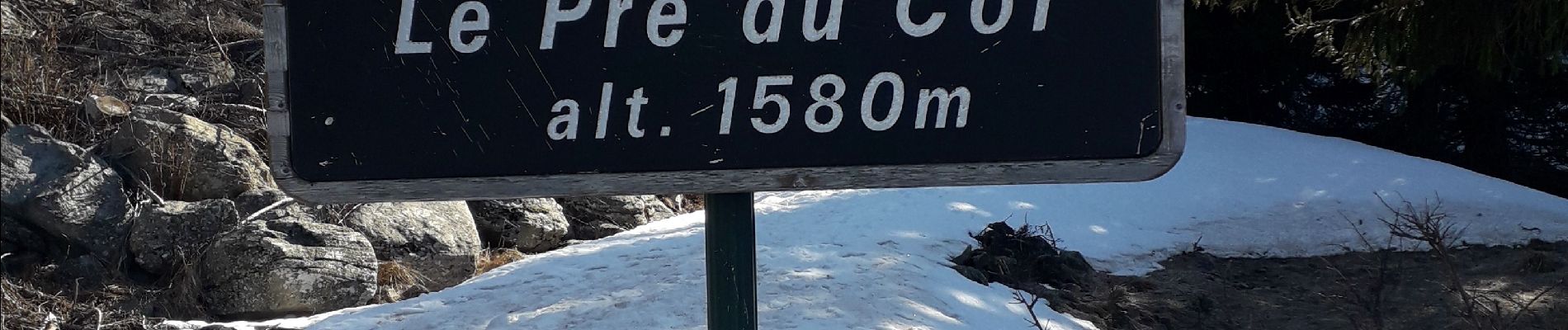 Trail Snowshoes Saint-André - l Orgere  - Photo