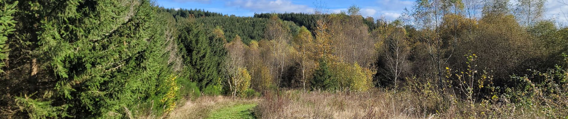 Tocht Stappen Fauvillers - rando fauvillers 22-10-2024 - Photo