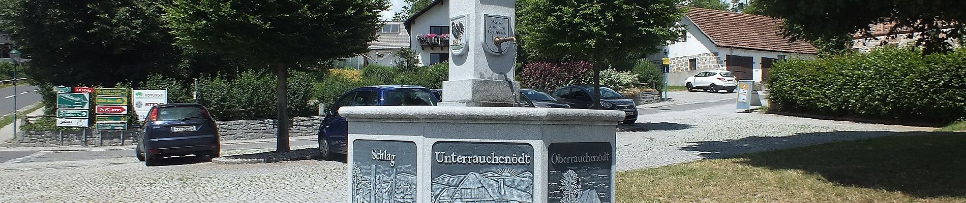 Excursión A pie Grünbach - Senderweg - Photo