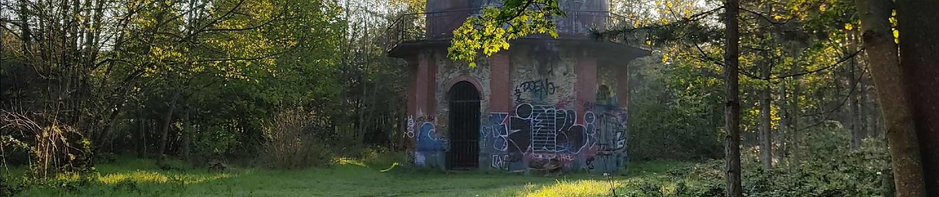 Tour Wandern Boulogne-Billancourt - Le bois de Boulogne - Photo