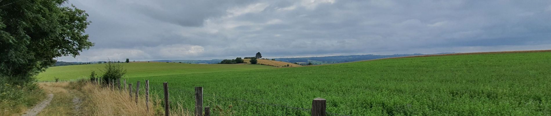 Tocht Stappen Salles-Curan - La Vierge des lacs - Pareloup - Photo