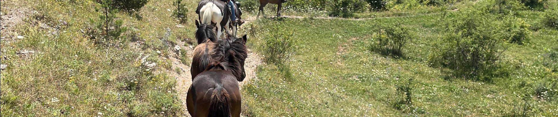 Trail Horseback riding Sallent de Gállego - Gavarnie étape 2 - Photo