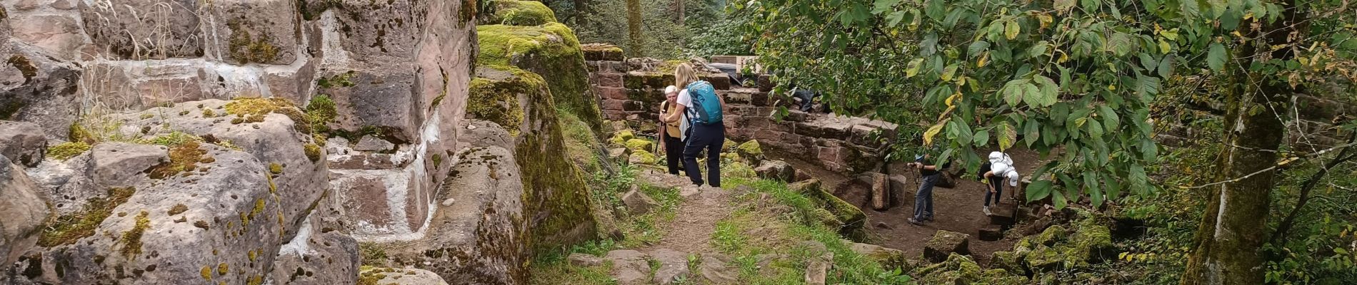 Tocht Stappen La Broque - château de Salm, Chatte pendue - Photo