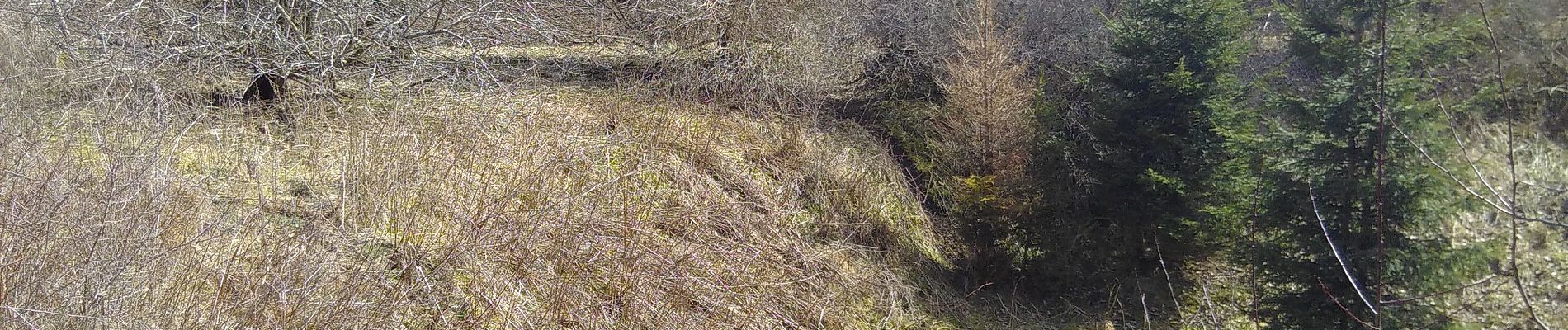 Tocht Te voet Gomadingen - Zugangsweg - Eichhalde (Markungsgrenze) - Bitz - Ruine Lichtenstein - Burren - Küche - Hermannsdorf - Photo