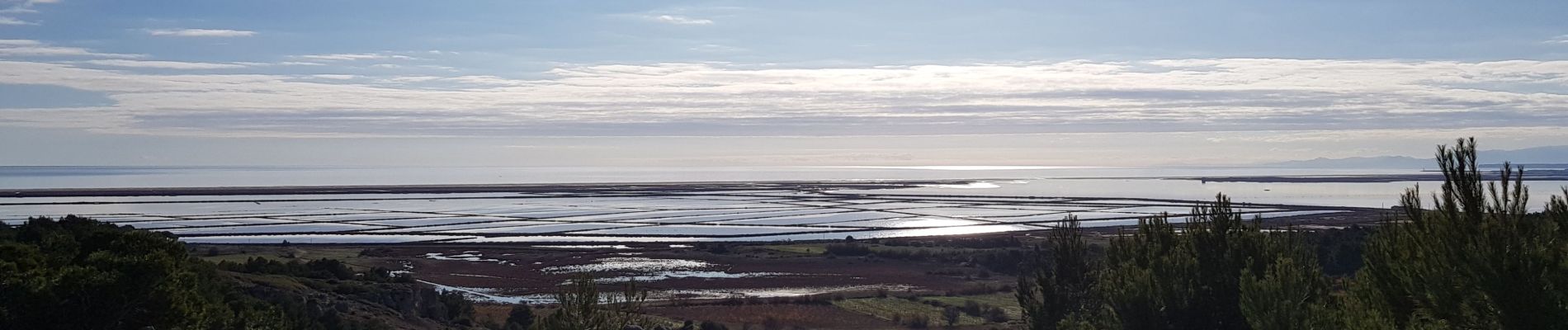 Tour Wandern Gruissan - tour de l'île Saint Martin  - Photo