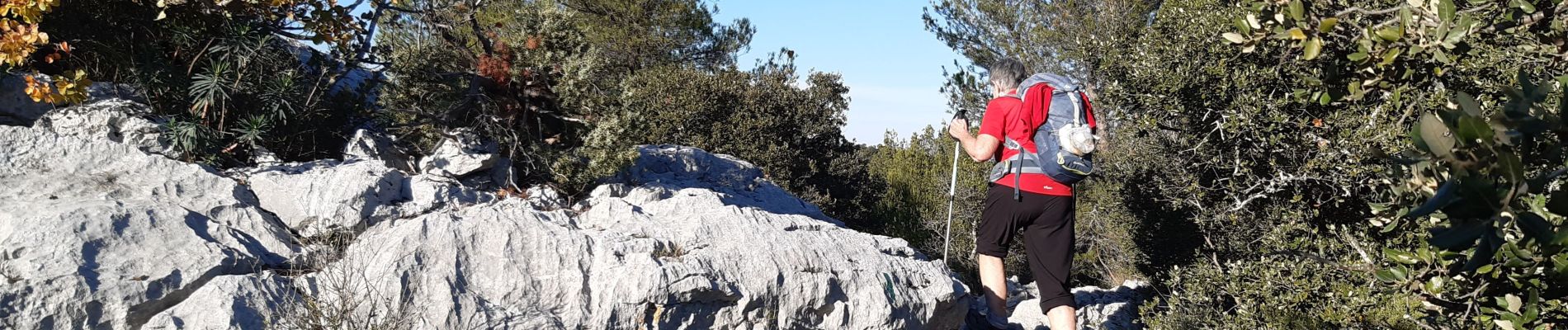 Excursión Senderismo La Valette-du-Var - le coudon - Photo