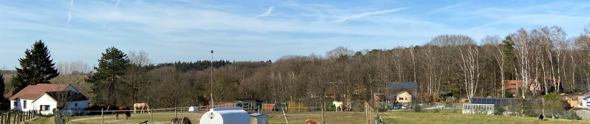 Tocht Stappen Halle - Bois de Halle - Photo