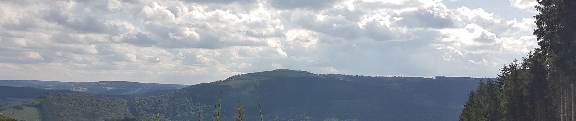 Randonnée Marche Stoumont - La Gleize - Coo - La Venne - Photo