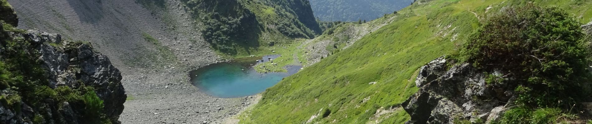 Tour Wandern Revel - Boucle , Lac du crozet depuis parking des 4 chemins - Photo