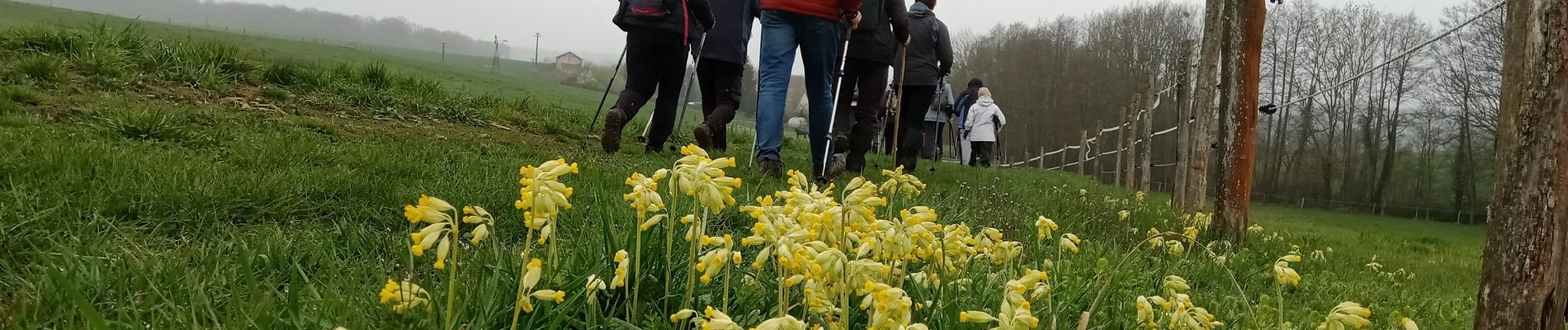 Tocht Stappen Viffort - Viffort du 05-04-2022 - Photo