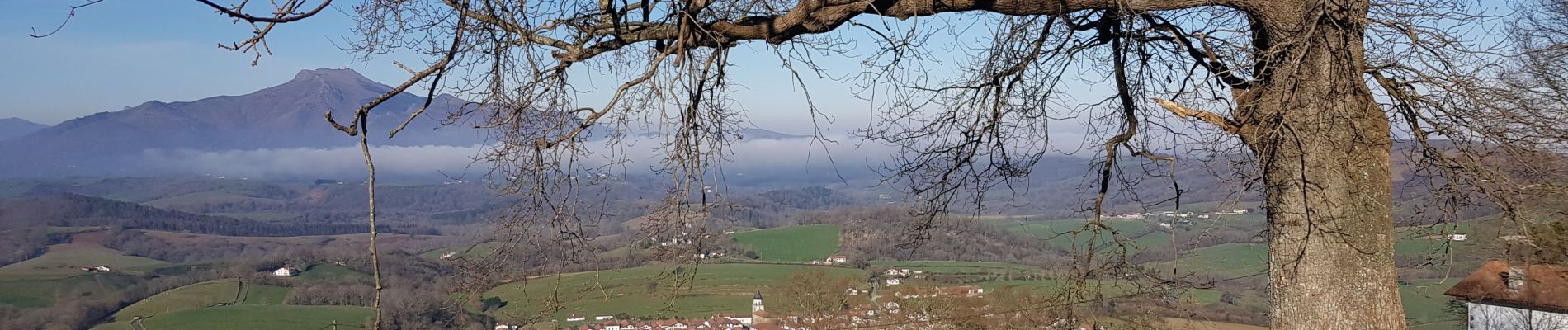 Tour Wandern Ainhoa - Ainhoa. Col de 3 croix - Photo