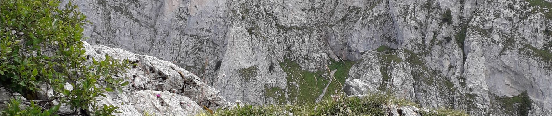 Tocht Stappen La Chapelle-d'Abondance - pas de la bosse - Photo