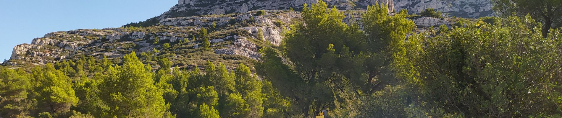 Trail Walking Marseille - 20230922 rando Calanques  - Photo