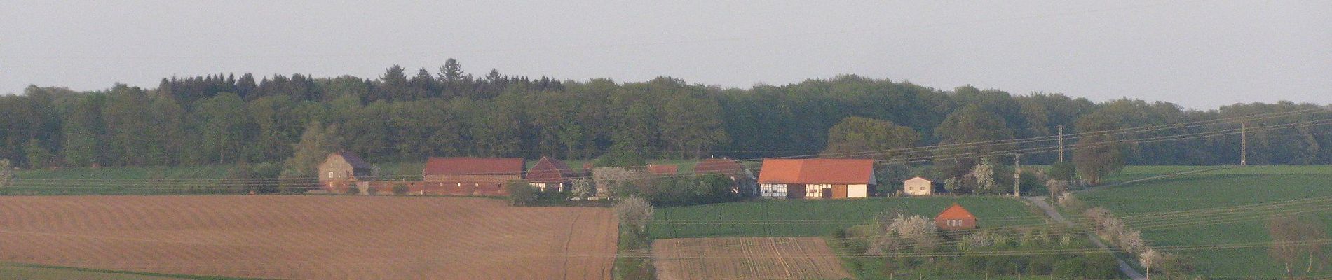 Excursión A pie Hofgeismar - Hans-Schmidt-Weg - Photo