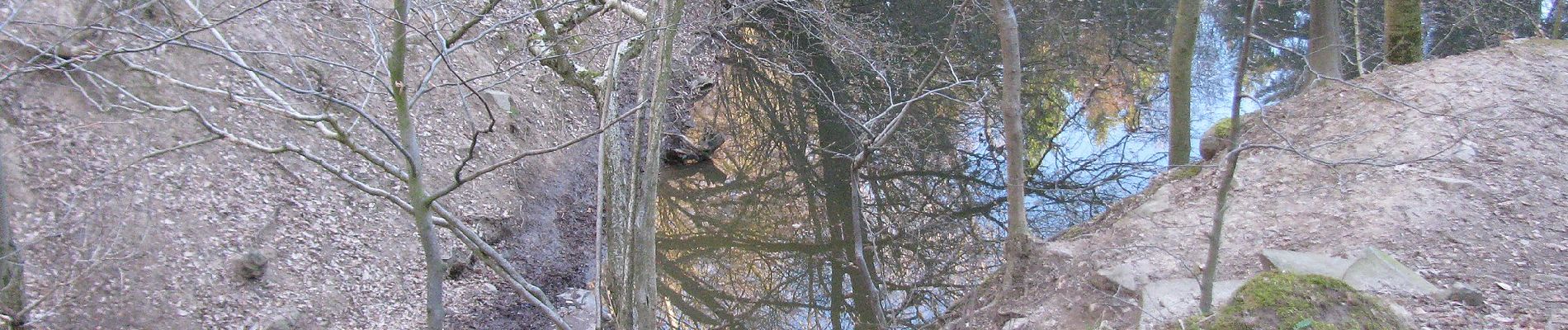 Tour Zu Fuß Unbekannt - Prinzenweg - Photo