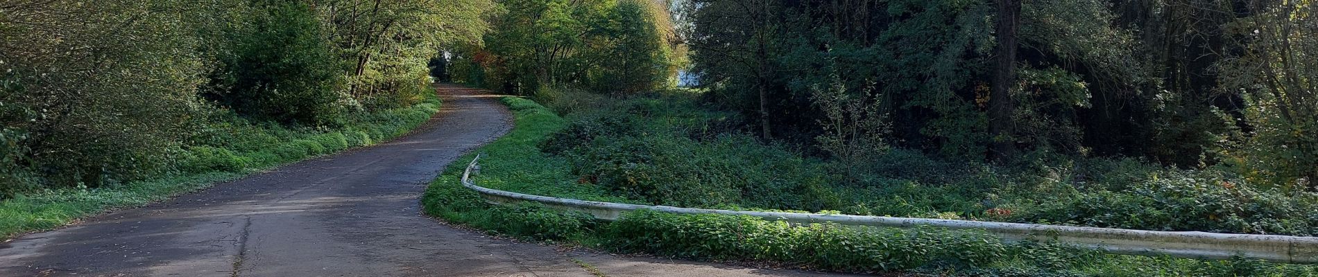 Randonnée Vélo de route Blegny - verbose long dans terrain derrière la caserne à vélo - Photo