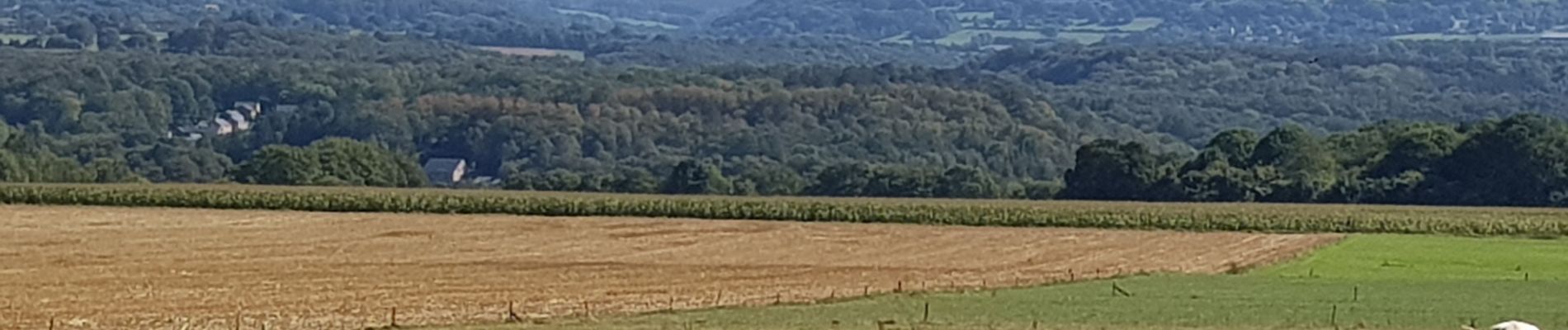 Randonnée Marche Ferrières - sy - Photo