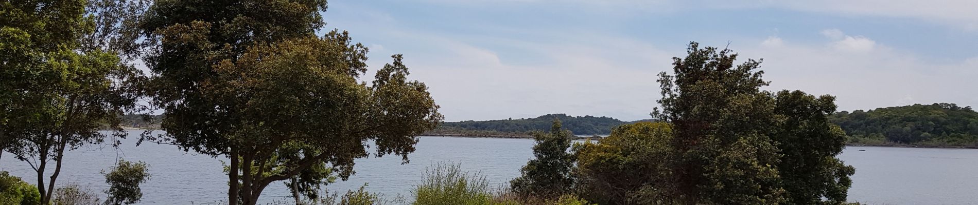 Tocht Stappen Tallone - Corse - Près d Aleria - Etang de Diane - Photo