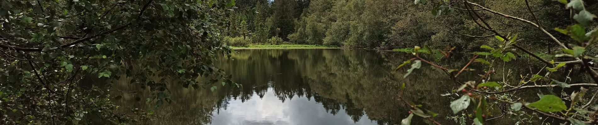 Tour Wandern Bellefontaine - 11-07-21 pont de Jeanson - Photo