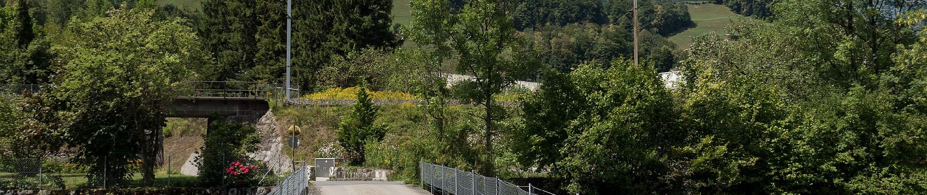 Tocht Te voet Glarus Süd - Ober-Sool - Gheist - Photo