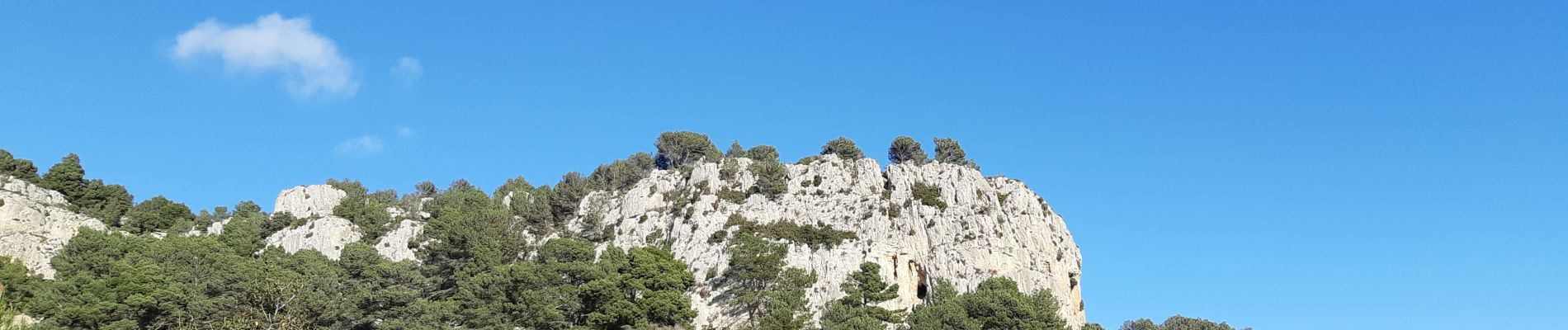 Randonnée Marche Gruissan - la clape - Photo