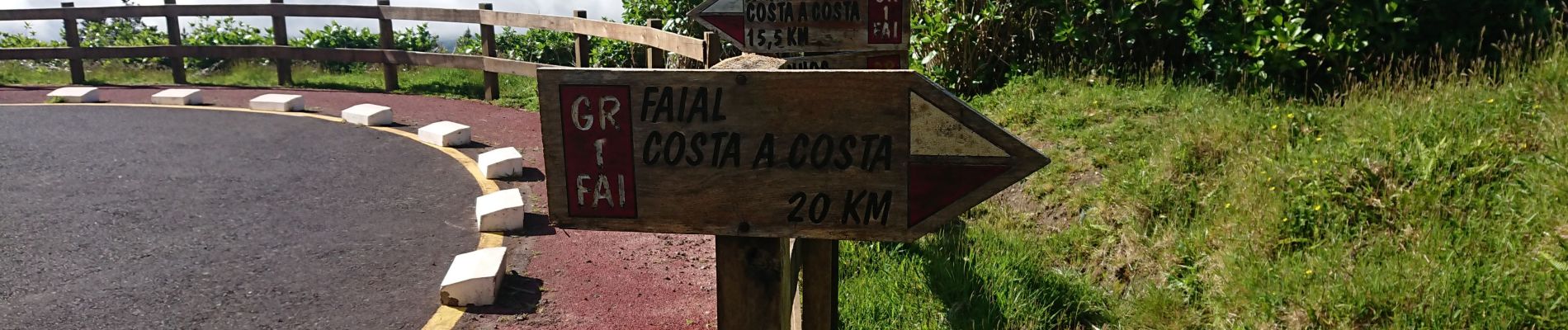 Tocht Stappen Cedros -  caldeira Faial - Photo