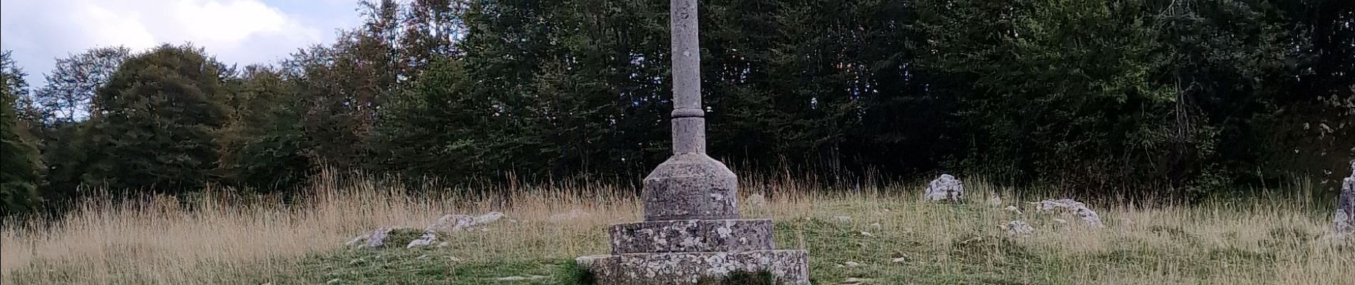 Tour Wandern Valserhône - Cuvéry avec Ophélie  - Photo