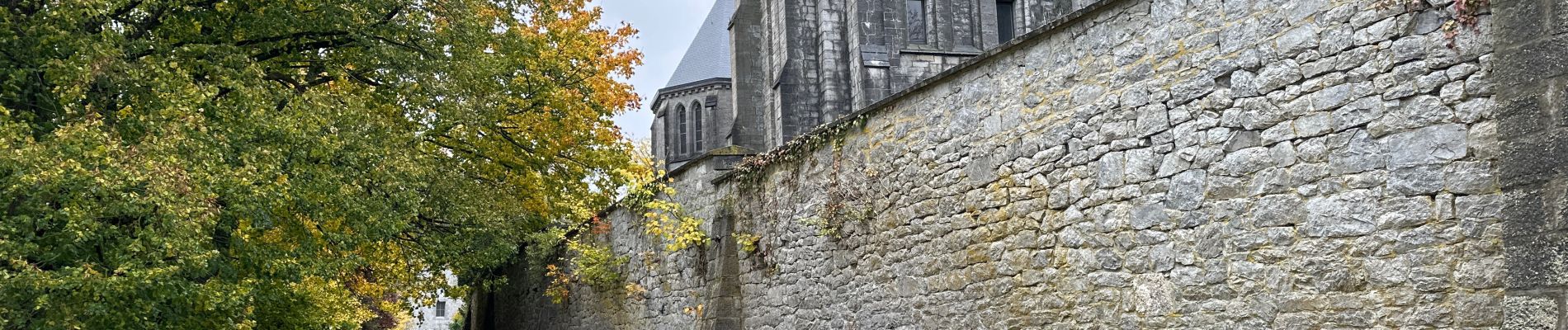 Trail Walking Anhée - Maredsous 7 km - Photo