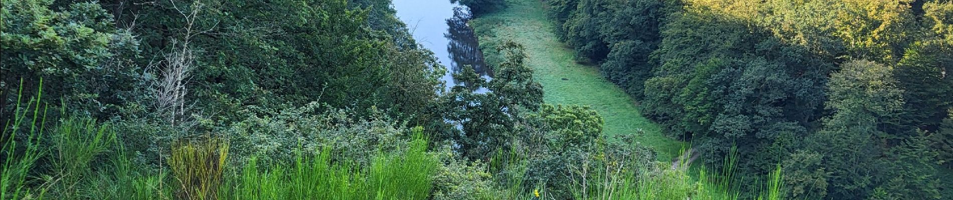 Tour Wandern Chiny - Chiny 190924 - Photo