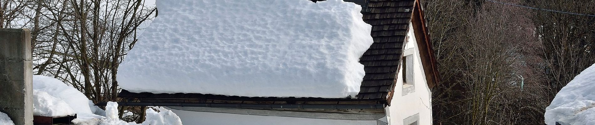 Percorso A piedi Hollersbach im Pinzgau - Bienenlehrpfad - Photo