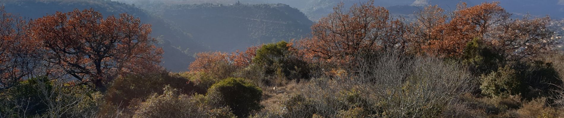 Trail Walking Les Vans - La-colline-des-oliviers - Photo