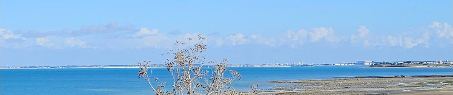 Tour Elektrofahrrad Ars-en-Ré - ile de ré vélo  - Photo