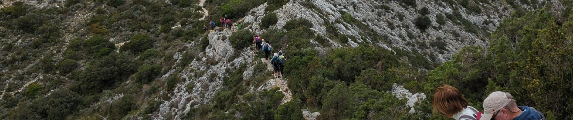 Tocht Stappen Eygalières - alpille 2024 trace - Photo